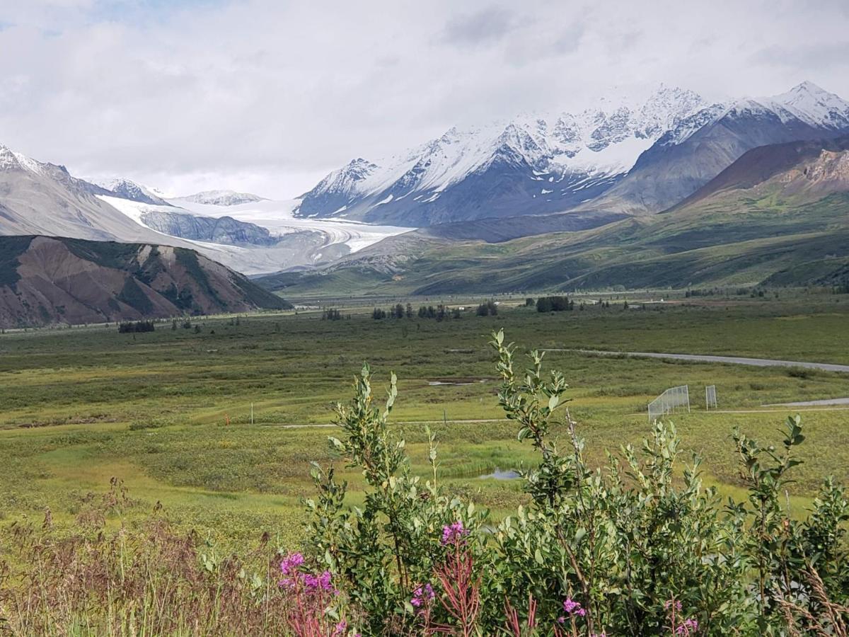 Denali Wild Stay - Moose Cabin, Free Wifi, 2 Private Bedrooms, Sleep 6 Healy Zewnętrze zdjęcie