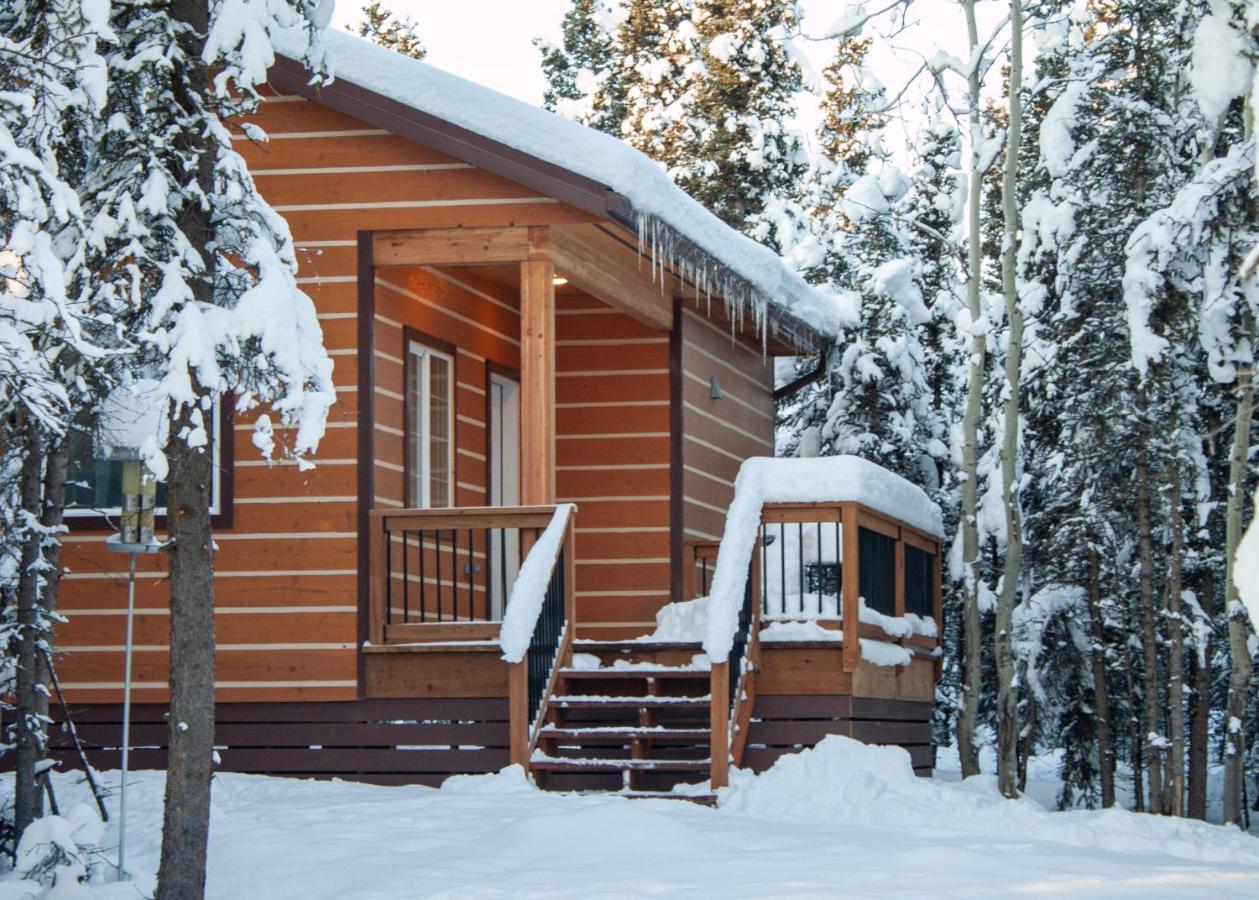 Denali Wild Stay - Moose Cabin, Free Wifi, 2 Private Bedrooms, Sleep 6 Healy Zewnętrze zdjęcie