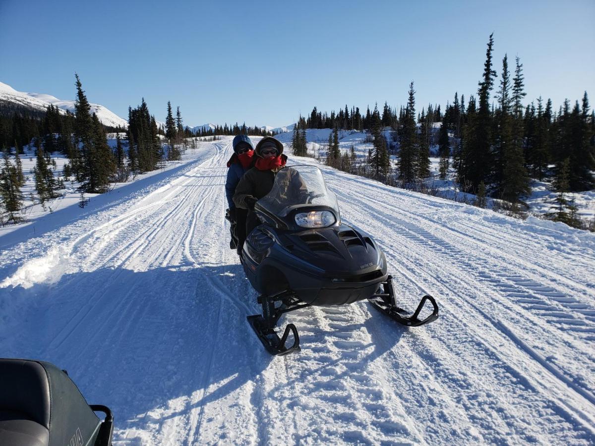 Denali Wild Stay - Moose Cabin, Free Wifi, 2 Private Bedrooms, Sleep 6 Healy Zewnętrze zdjęcie