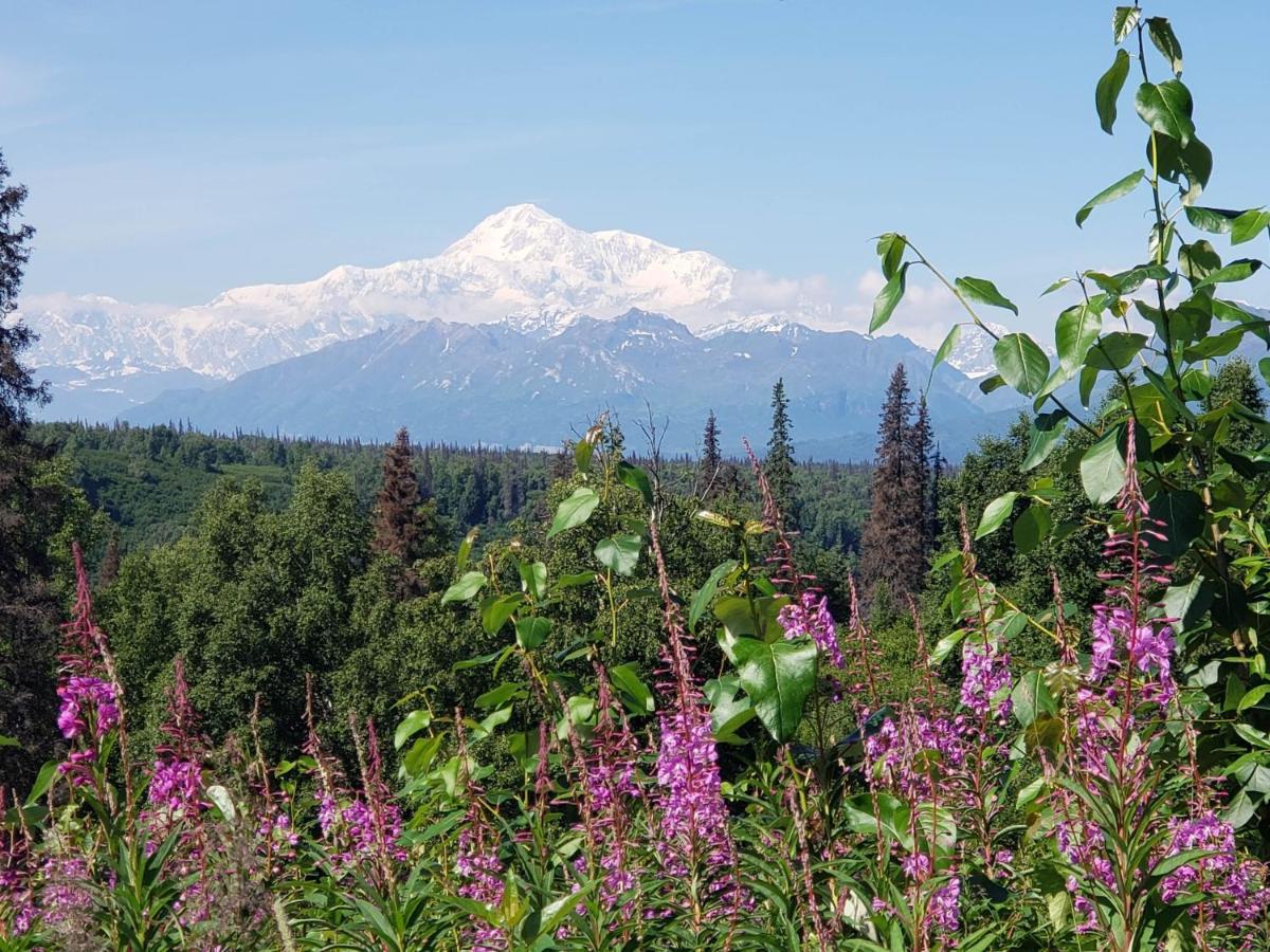 Denali Wild Stay - Moose Cabin, Free Wifi, 2 Private Bedrooms, Sleep 6 Healy Zewnętrze zdjęcie