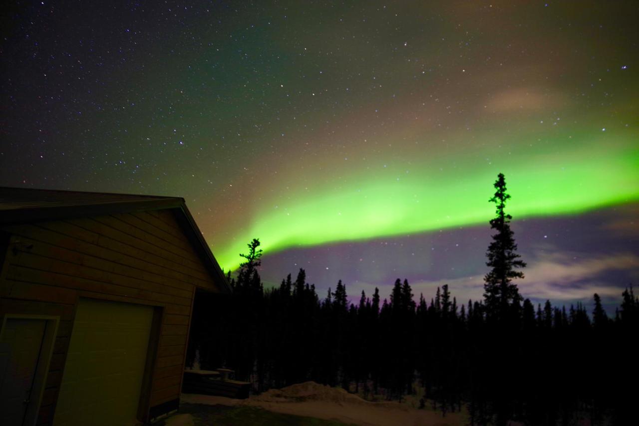 Denali Wild Stay - Moose Cabin, Free Wifi, 2 Private Bedrooms, Sleep 6 Healy Zewnętrze zdjęcie