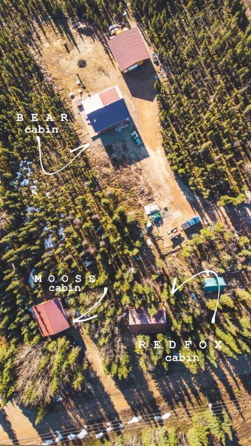 Denali Wild Stay - Moose Cabin, Free Wifi, 2 Private Bedrooms, Sleep 6 Healy Zewnętrze zdjęcie
