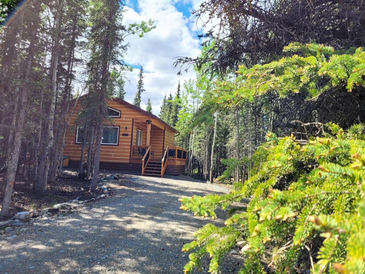 Denali Wild Stay - Moose Cabin, Free Wifi, 2 Private Bedrooms, Sleep 6 Healy Zewnętrze zdjęcie